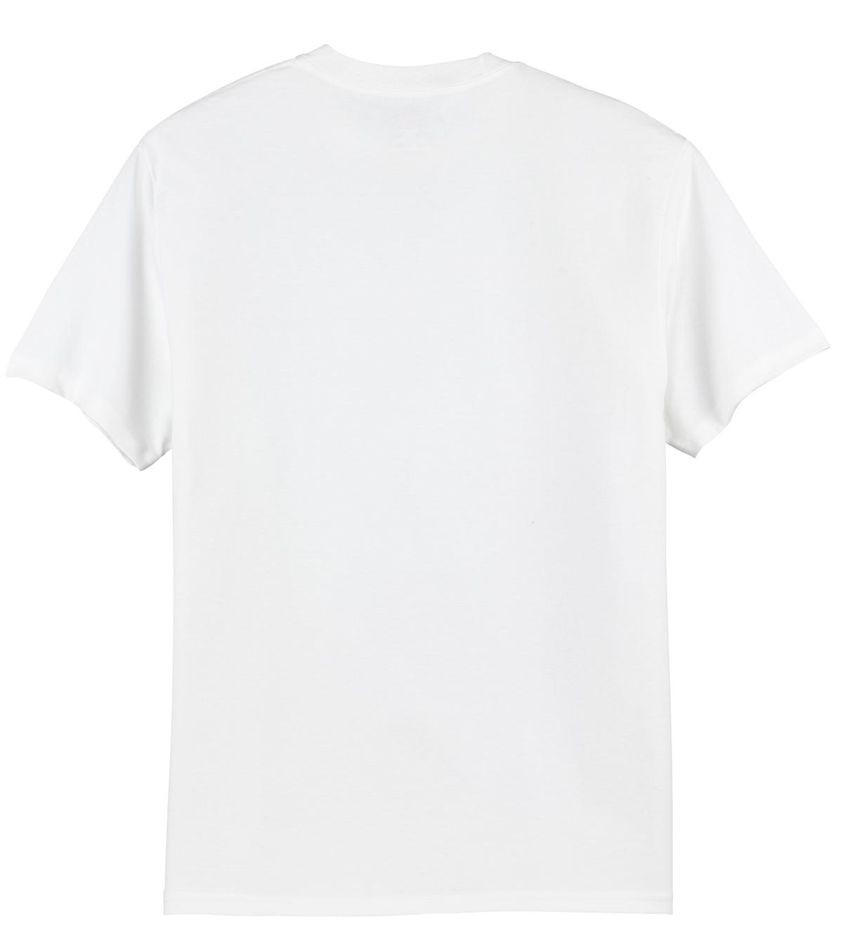 Hanes – Authentic 100% Cotton T-Shirt. 5250 – Dynasty Custom