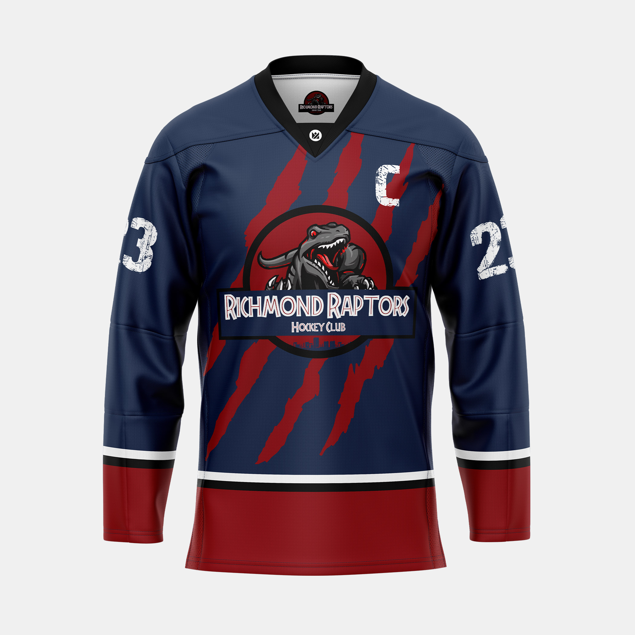 raptors hockey jersey